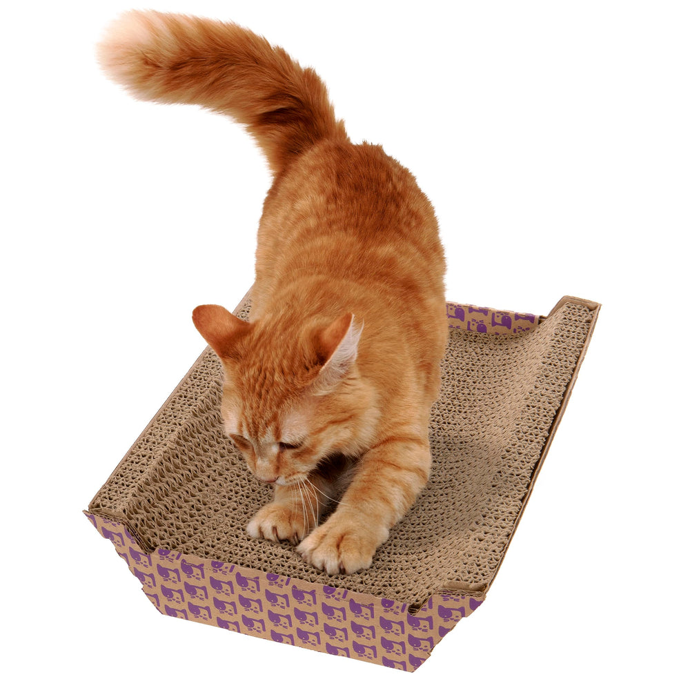 SmartyKat etiqueta que indica catnip infusionado y atractivo sin desorden