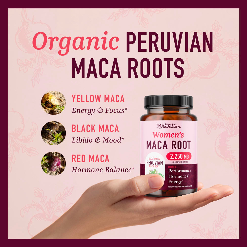 SMNutrition polvo de maca gelatinizada en primer plano para digestión mejorada