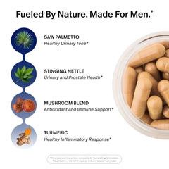 Etiqueta de Snap Supplements con lista completa de ingredientes y dosis claras