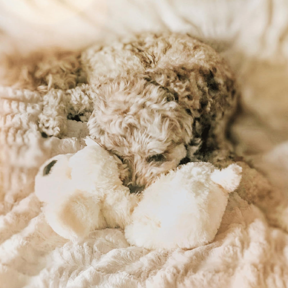 Snuggle Puppie funda removible lista para lavado, mantenimiento sencillo