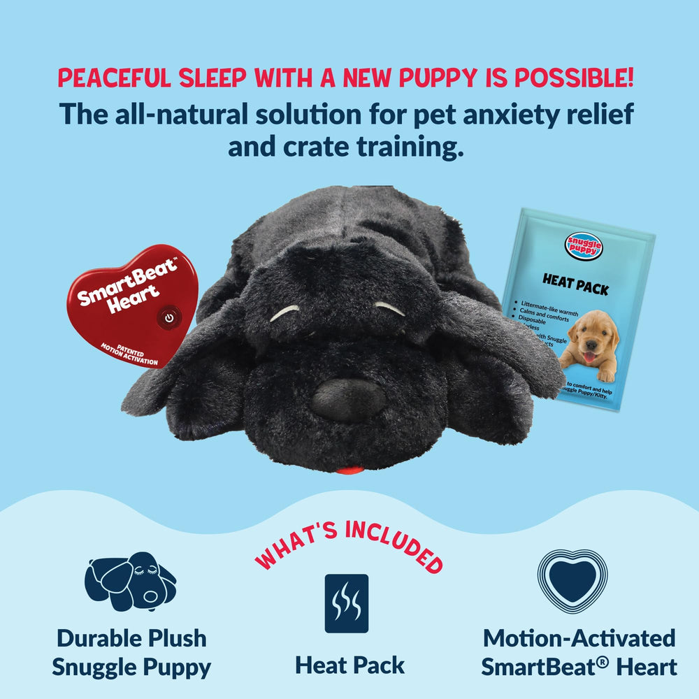 Snuggle Puppy junto a pata de perro para comparar tamaño ideal para medianos
