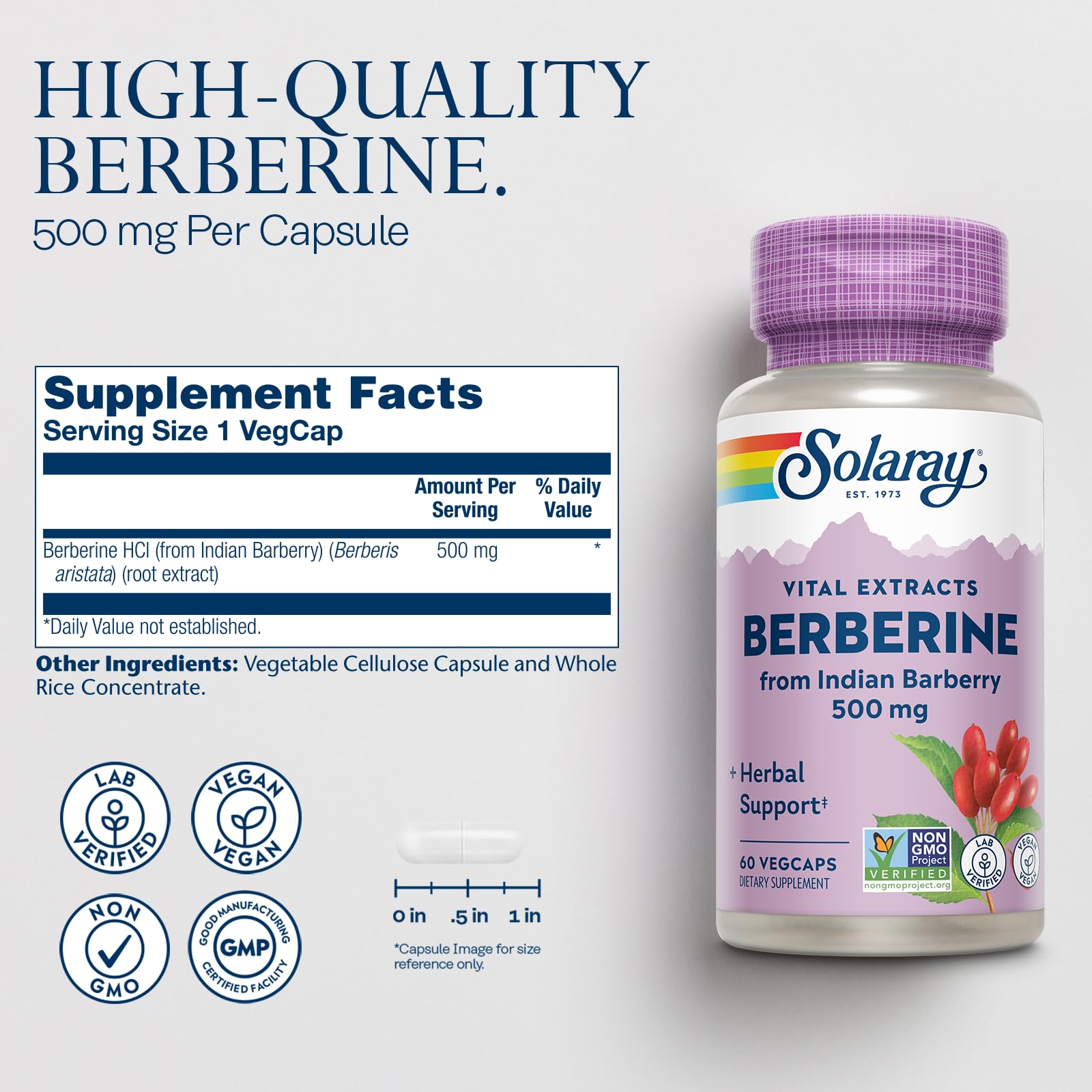 SOLARAY capsule close-up revealing texture and vegetarian capsule quality