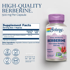 SOLARAY capsule close-up revealing texture and vegetarian capsule quality