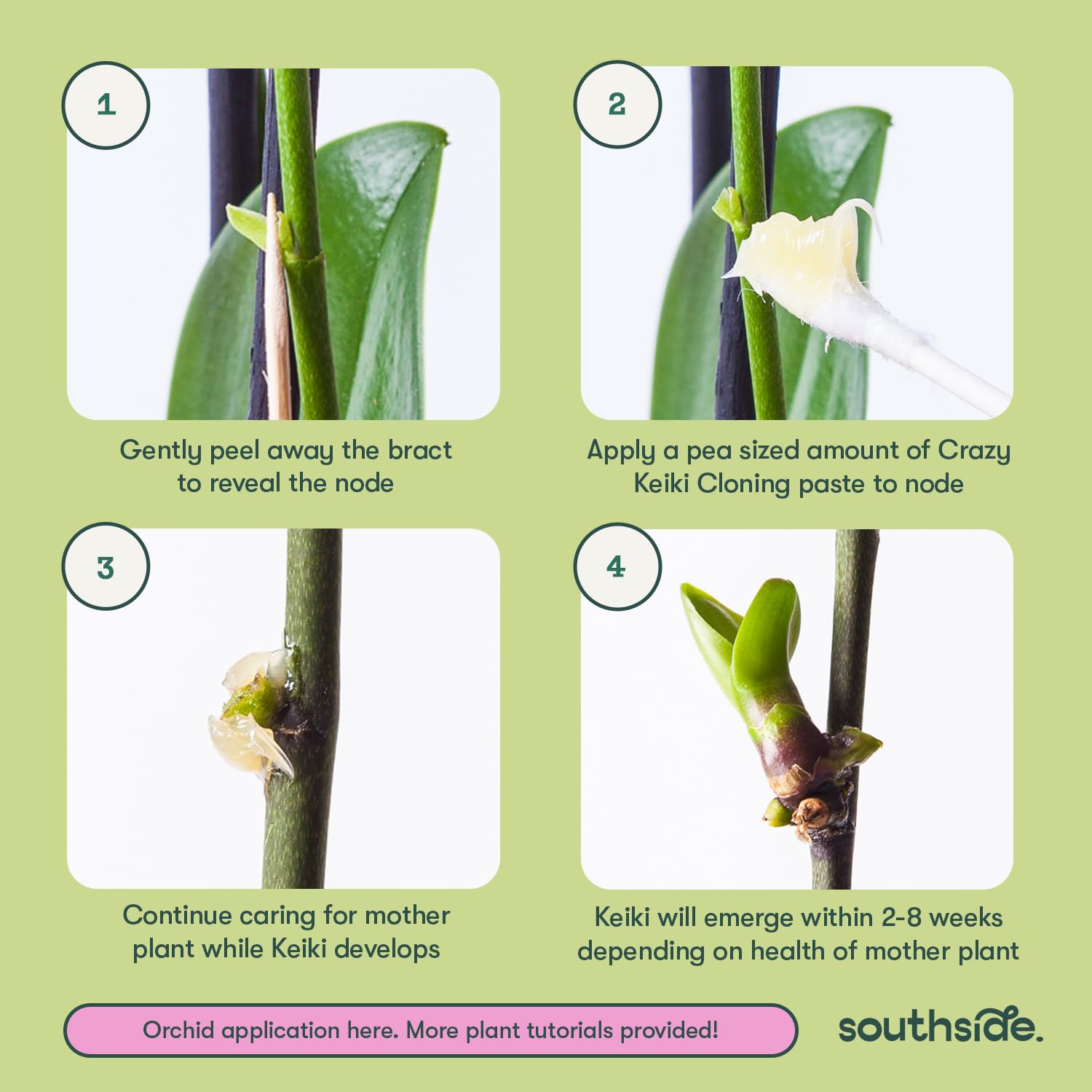 Southside Plants comparación de tamaño del vial, referencia clara para el usuario