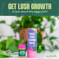 Southside Plants pasta aplicada en nudo de orquídea, favorece la formación de keikis