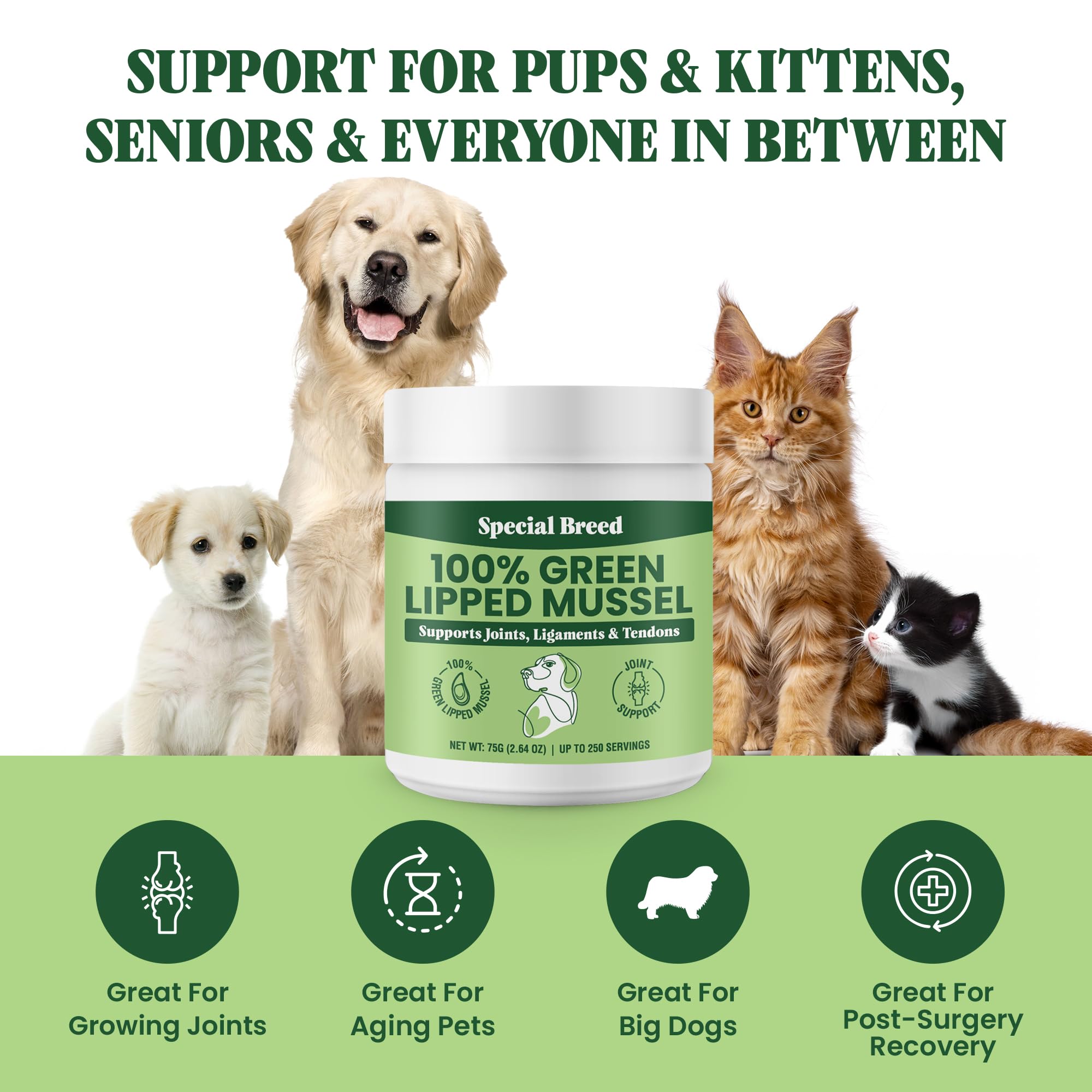 Special Breed envase junto a regla para comparar tamaño y rendimiento