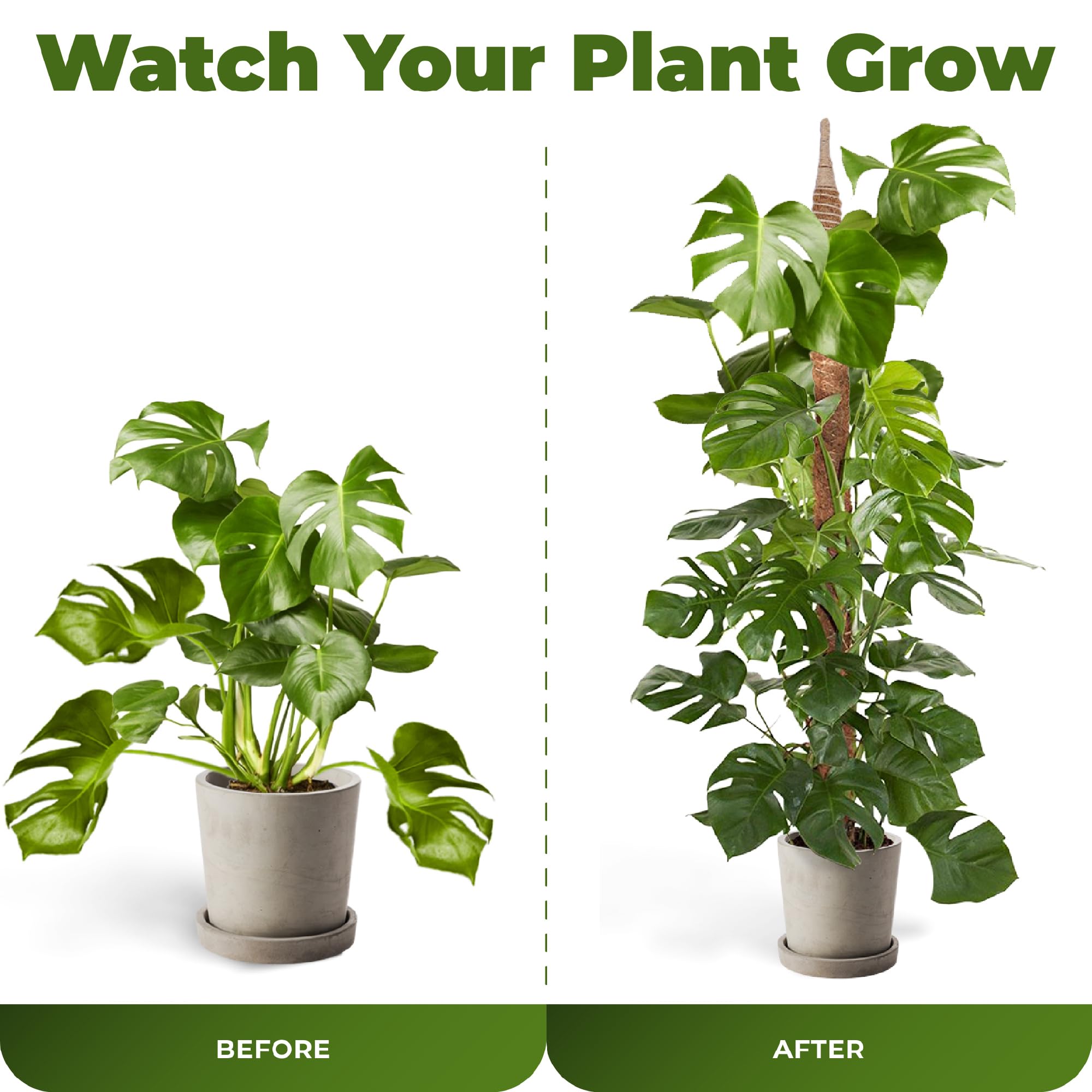 Sproot bridas suaves incluidas sujetando tallos sin dañarlos