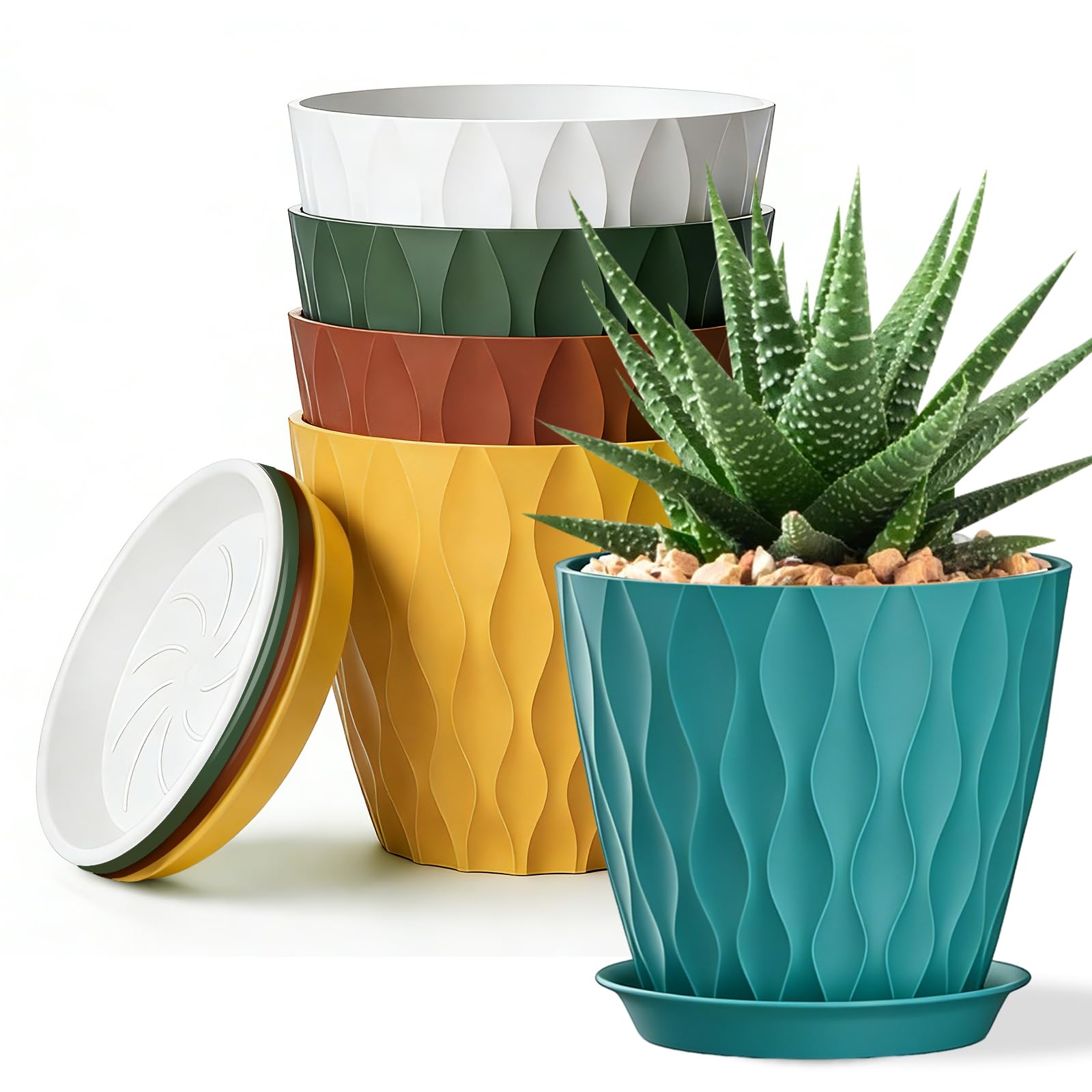 SQKH maceta frontal 8 pulgadas mostrando diseño y color para decorar