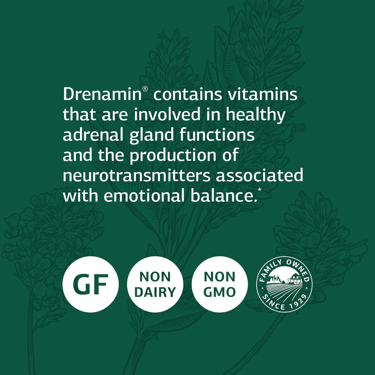 Etiqueta Drenamin con información nutricional legible y beneficios Standard Process