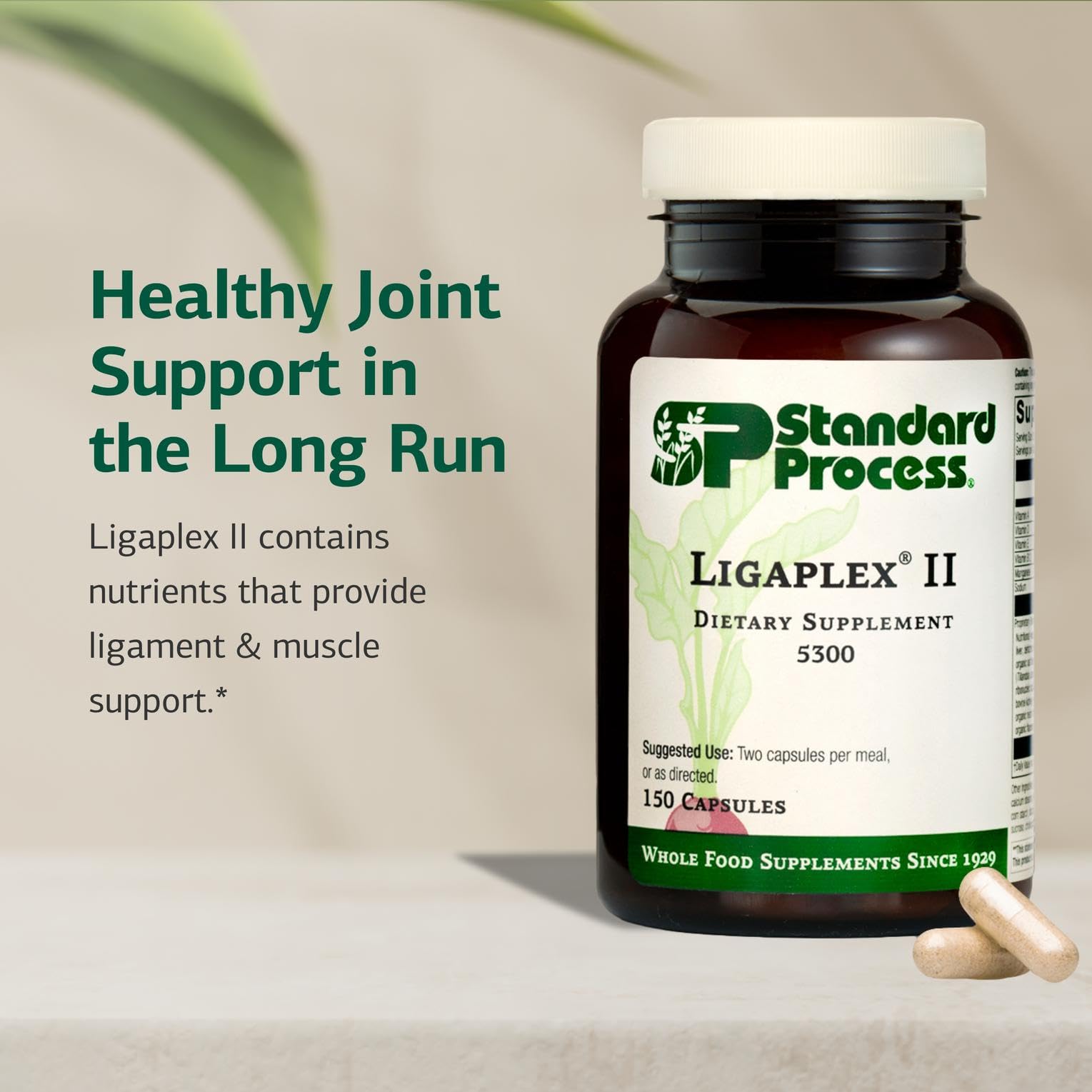 Standard Process Ligaplex II cápsulas en mano mostrando dosificación y práctico tamaño