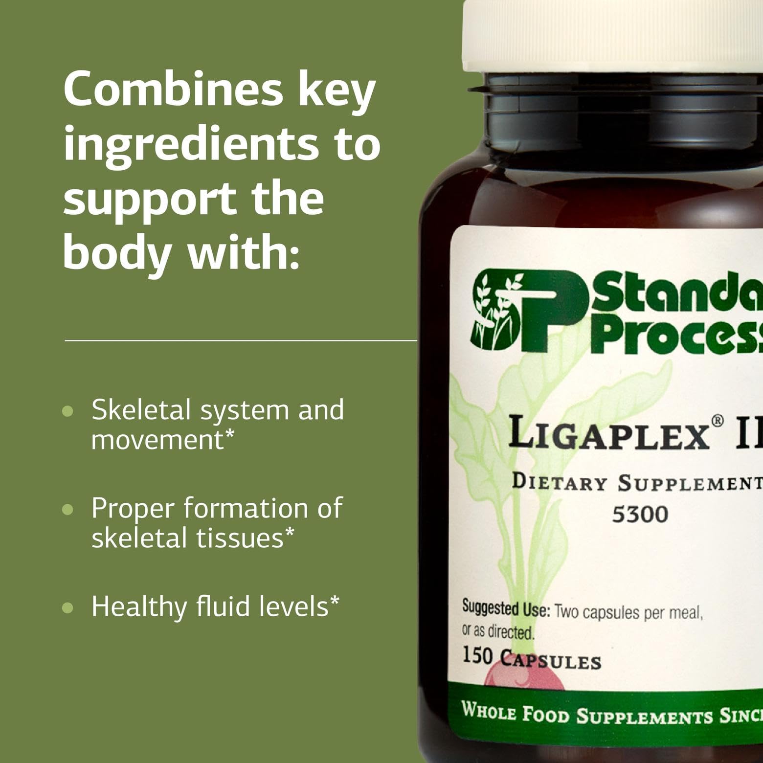 Standard Process Ligaplex II close-up de la textura de la cápsula que resalta la calidad del recubrimiento