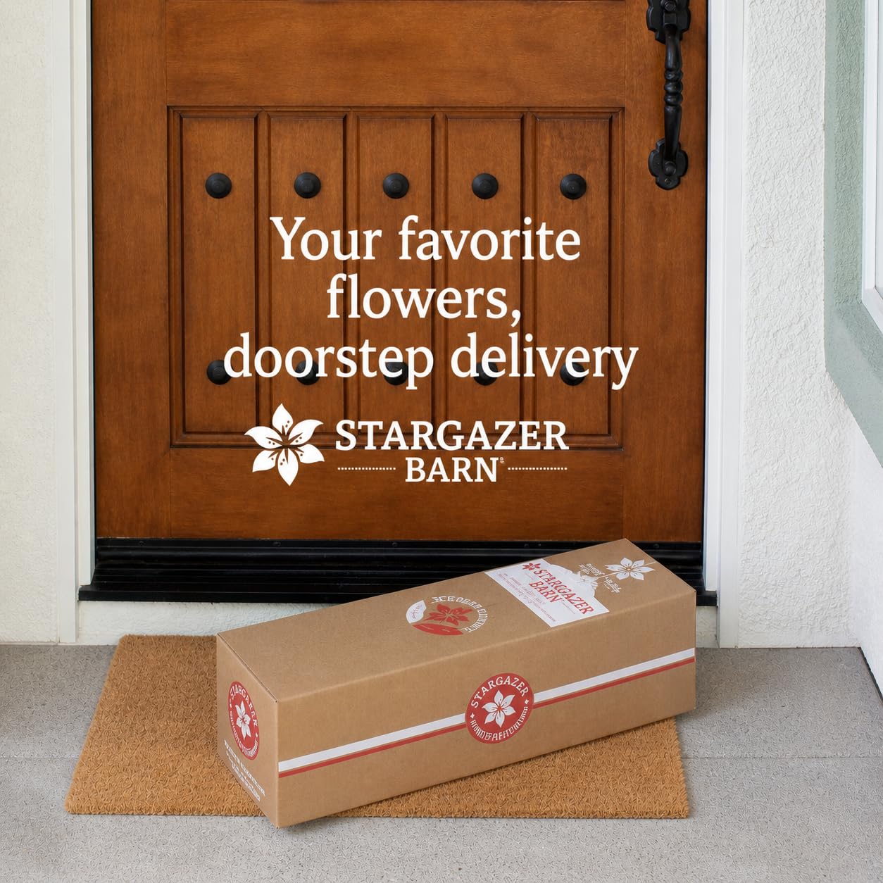Stargazer Barn detalle de pétalos para apreciar textura y calidad