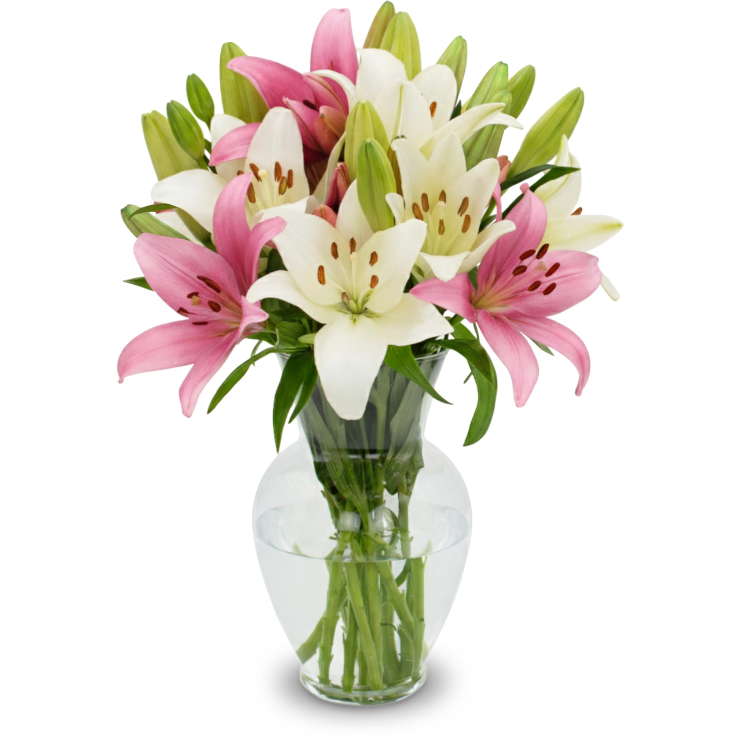 Stargazer Barn ramo frontal mostrando colores vivos y aspecto elegante