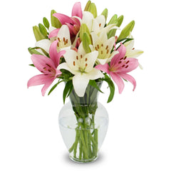 Stargazer Barn ramo frontal mostrando colores vivos y aspecto elegante