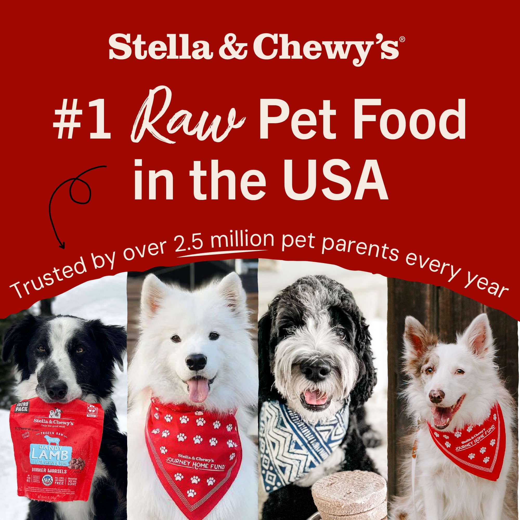 Stella & Chewy's comparación de tamaño del trozo respecto a mano para porción