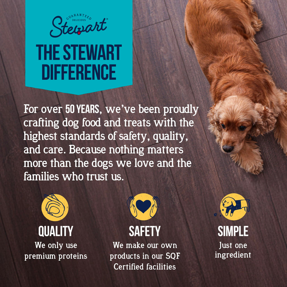 Stewart trocitos rellenando juguete, ideal para estimulación y entretenimiento