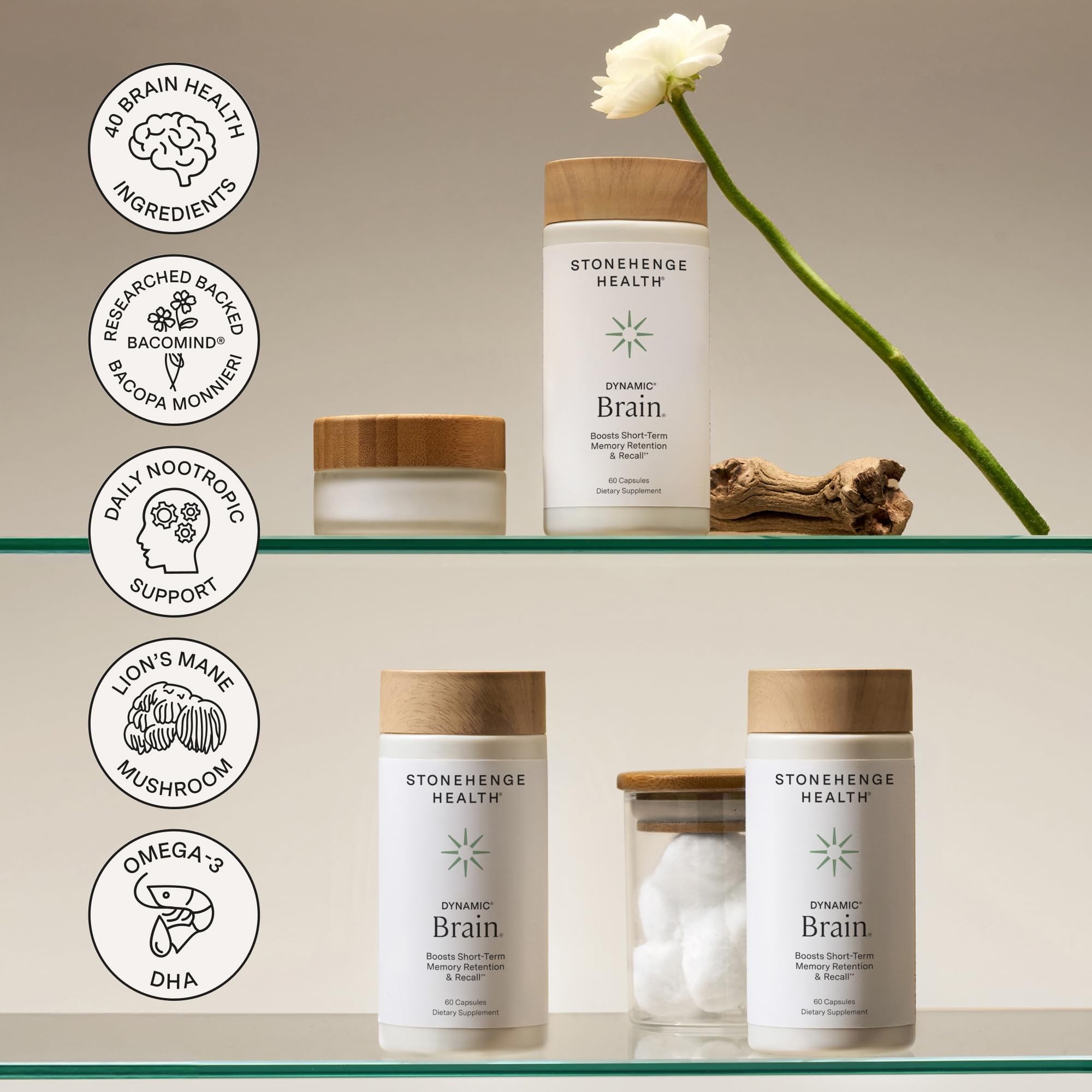 Stonehenge Health Dynamic Brain en ambiente de estudio promoviendo enfoque diario