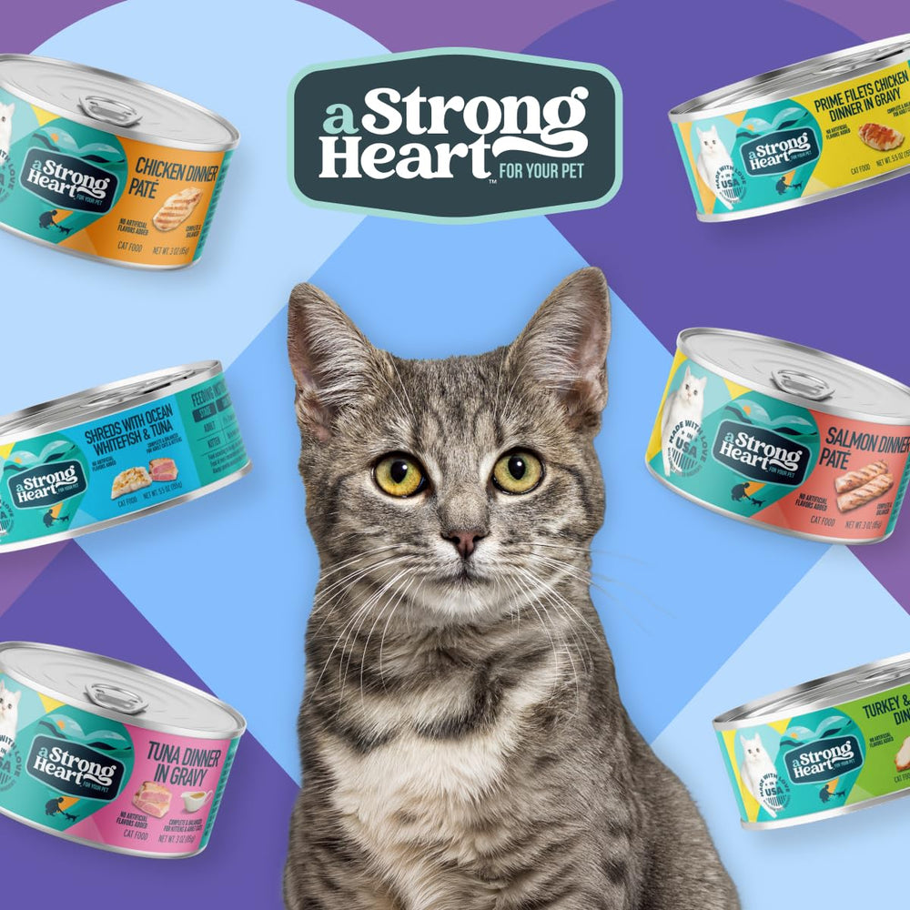 Strongheart gato comiendo en cocina que ilustra disfrute y alimentación completa