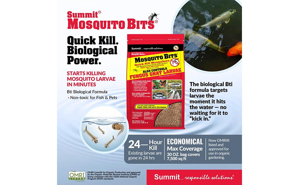 Summit producto aplicado en fuente de jardín, control localizado de mosquitos