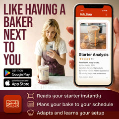 Superbaking banneton two baskets side by side conveying bake-two-loaves efficiency