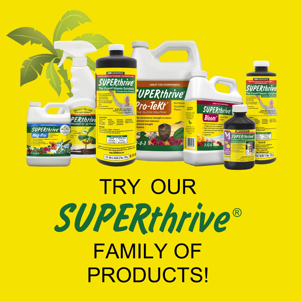 SUPERthrive en jardín real mostrando vigor y aspecto saludable