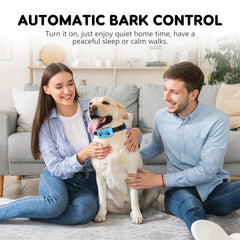 Svtrat collar colocado en perro mediano demostrando uso cómodo y control efectivo
