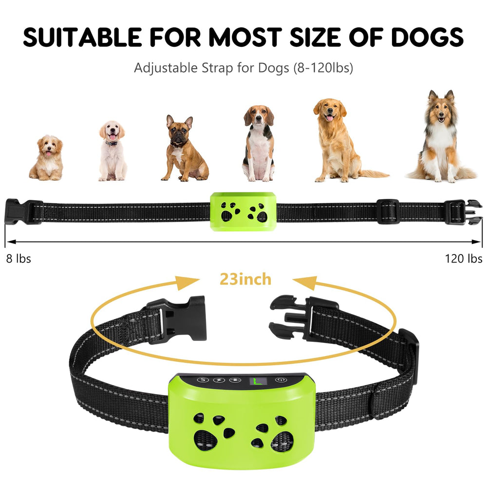 Svtrat comparación de tamaño con regla mostrando rango ajustable del collar