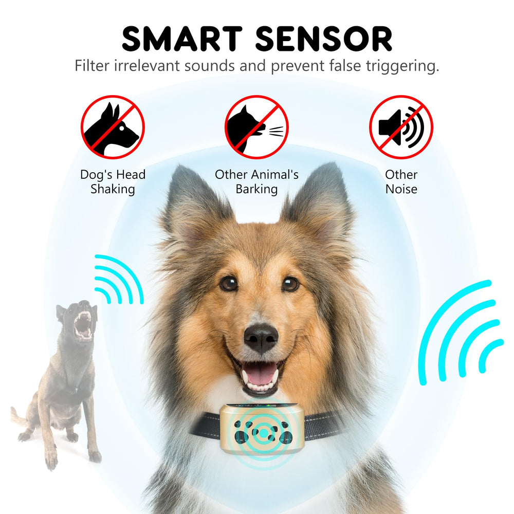 Svtrat display digital del collar indicando modo de protección y estado claro