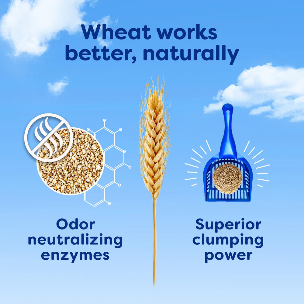 sWheat Scoop en bandeja usada por un gato, beneficio: apariencia natural y confort
