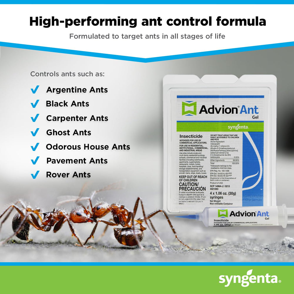 Syngenta Advion Ant Gel applied on baseboard showing discreet placement