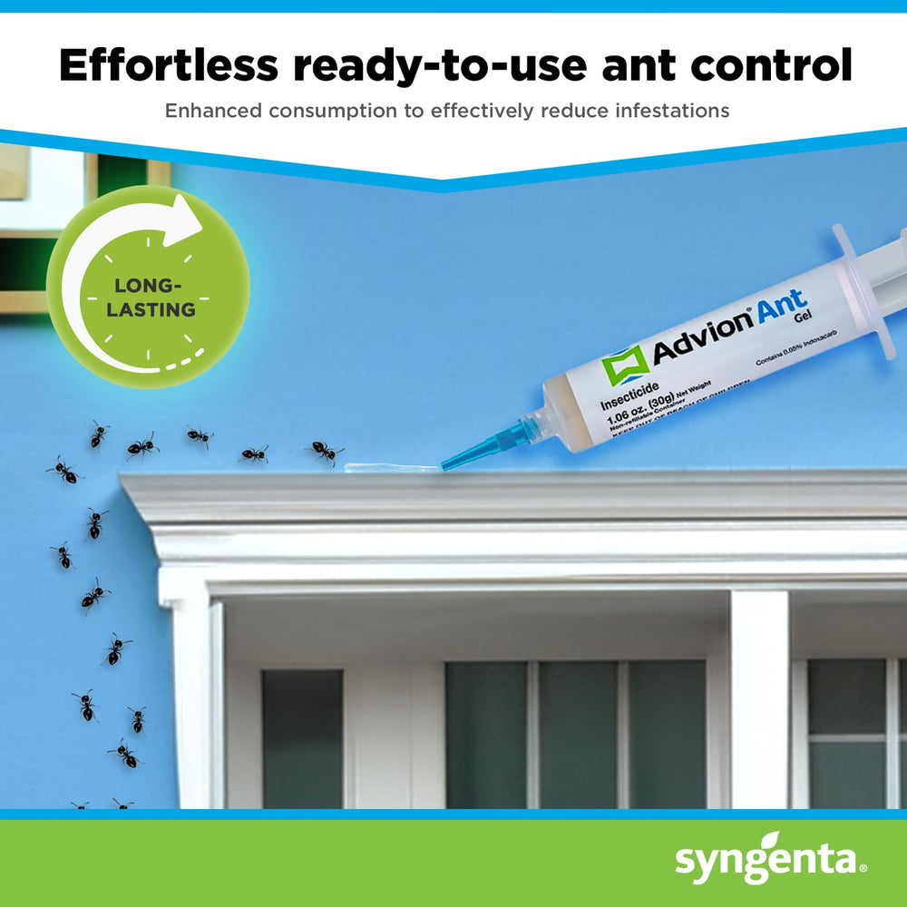 Syngenta Advion Ant Gel placed under deck protecting outdoor perimeter