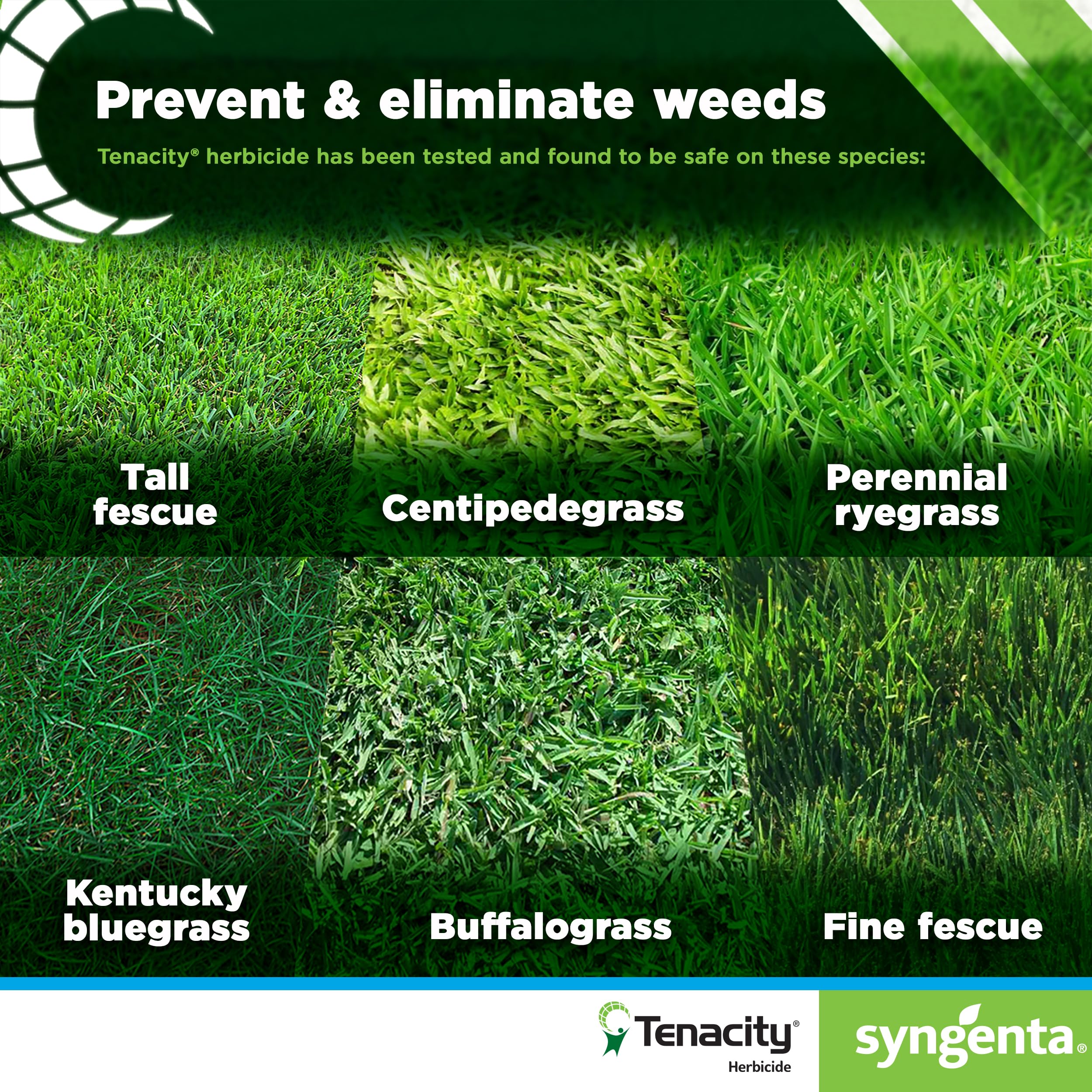 Syngenta Tenacity en aplicación sobre césped mostrando control de malezas