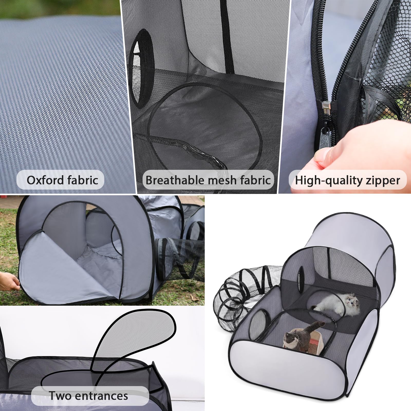 TailTastic comparación de tamaño con gato para visualizar espacio