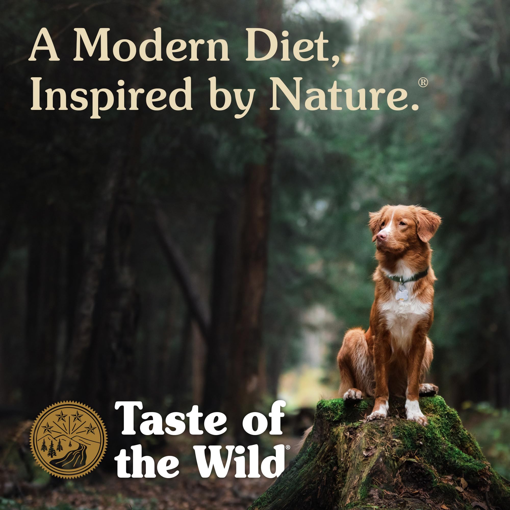 Taste of the Wild etiqueta nutricional mostrando tablas y probióticos