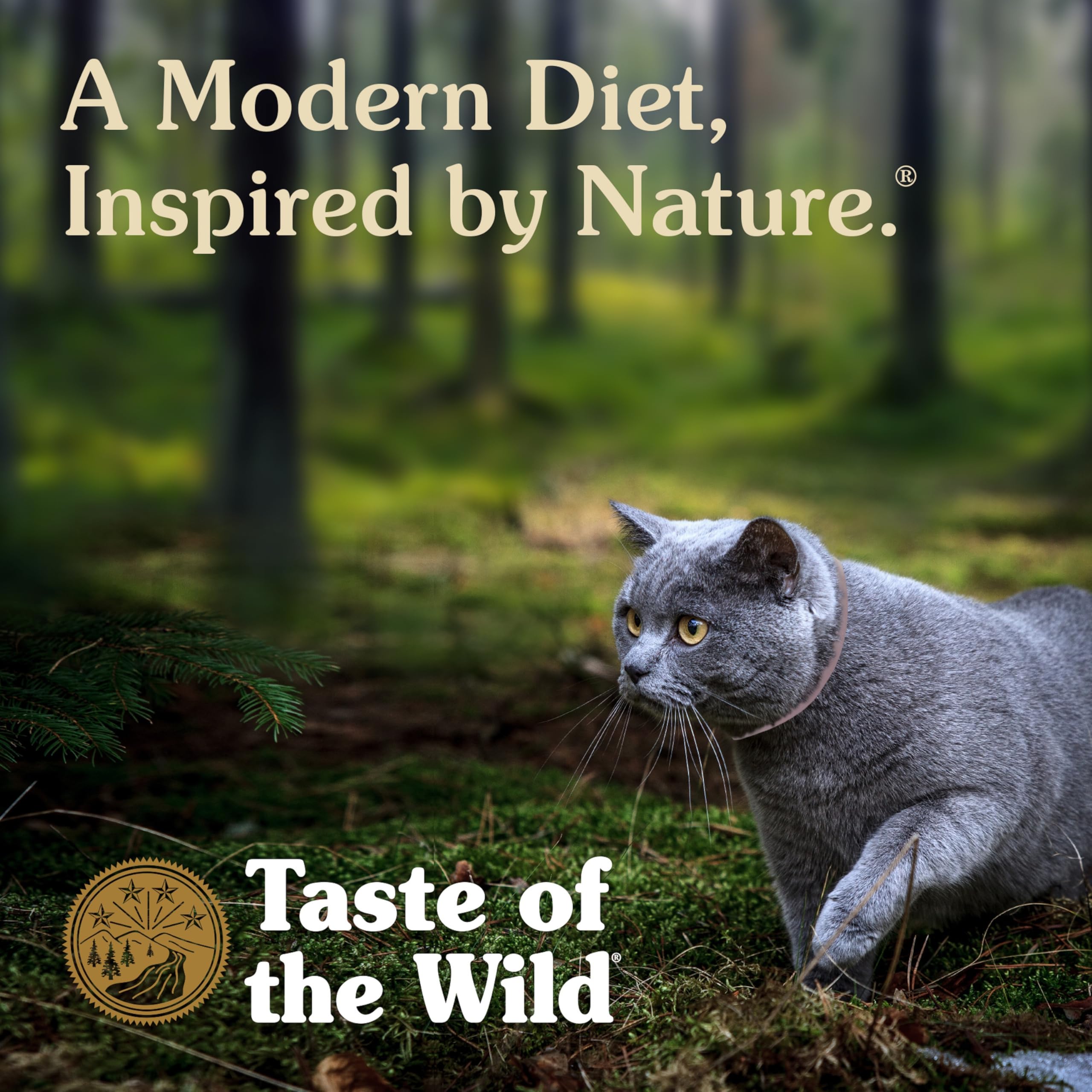 Taste of the Wild gato comiendo, evidencia de aceptación y energía