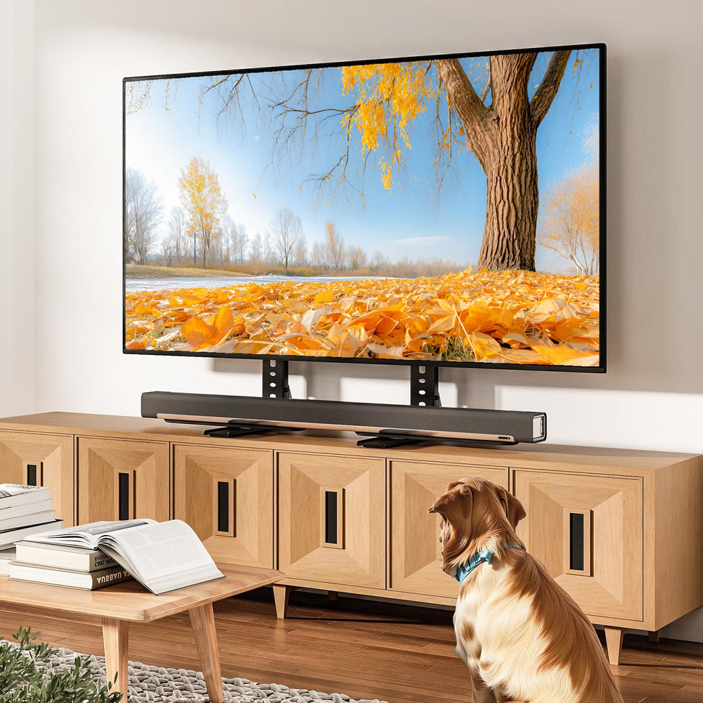 TAVR Furniture comparación de tamaño en mueble mostrando ajuste compacto