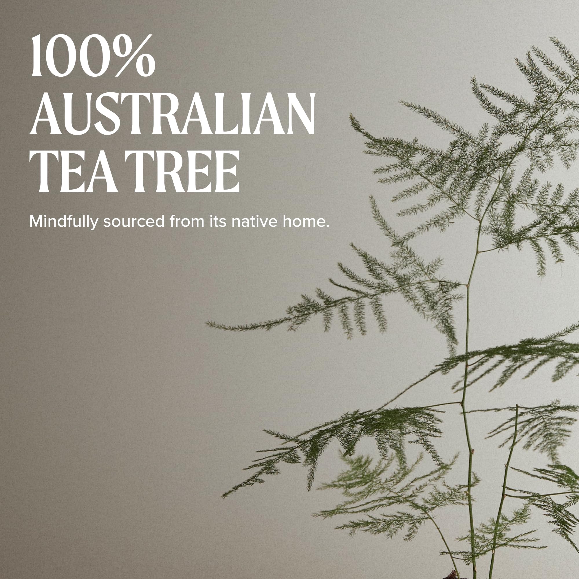 Tea Tree uso post-afeitado en rostro para calmar la piel