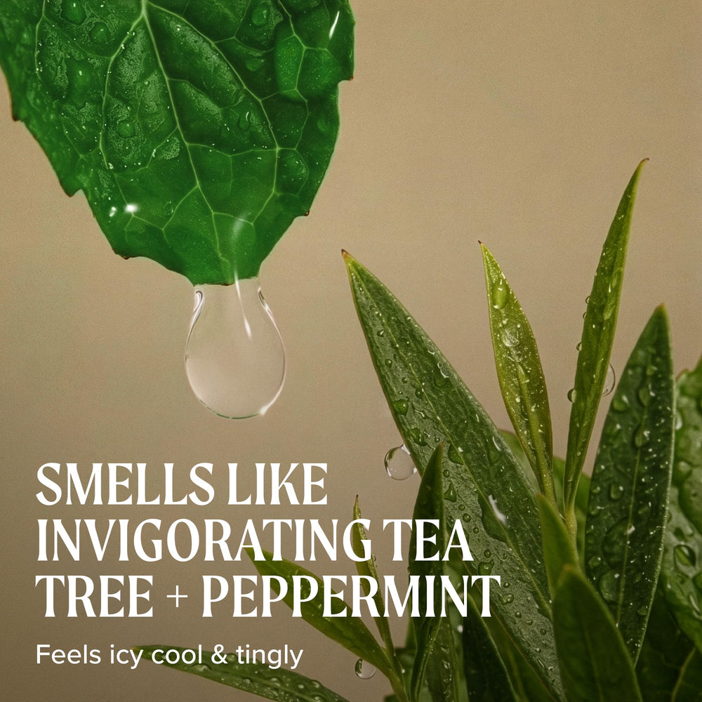 Tea Tree botella en ambiente relajado que evoca aroma revitalizante