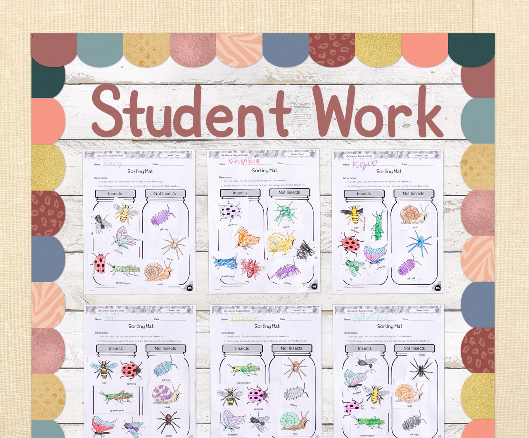 Teacher Created Resources classroom display using roll showing attractive backdrop for student work