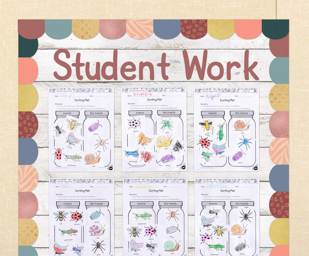 Teacher Created Resources classroom display using roll showing attractive backdrop for student work