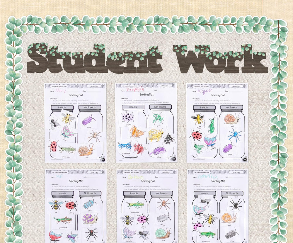 Teacher Created Resources tablón decorado en entorno escolar, aporta apariencia profesional