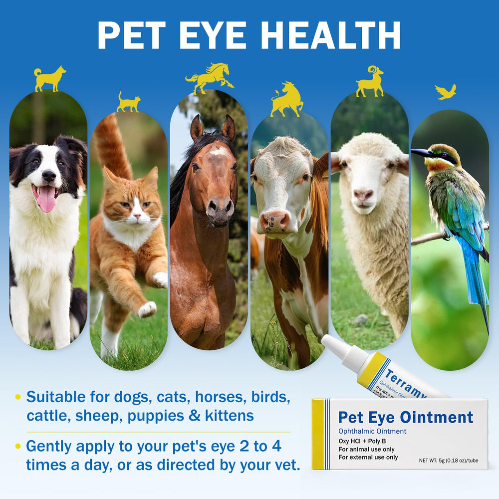 Uso de Teardux en gato para piel alrededor del ojo protegida