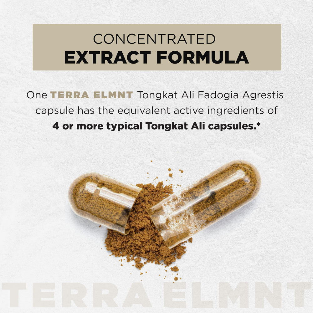 TERRA ELMNT etiqueta nutricional en primer plano con ingredientes estandarizados