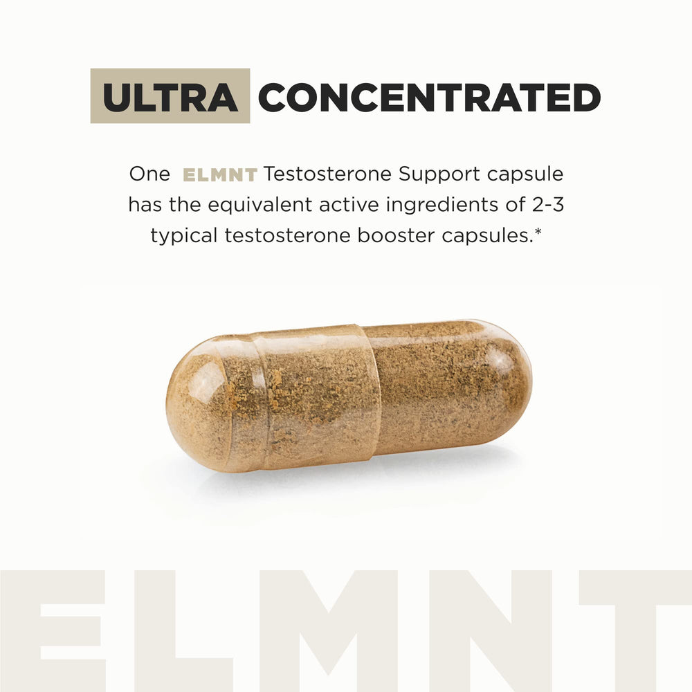 TERRA ELMNT sachet con extractos en polvo, muestra concentración de ingredientes