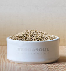 Semillas Terrasoul Superfoods espolvoreadas en una ensalada, añaden crujiente y sabor