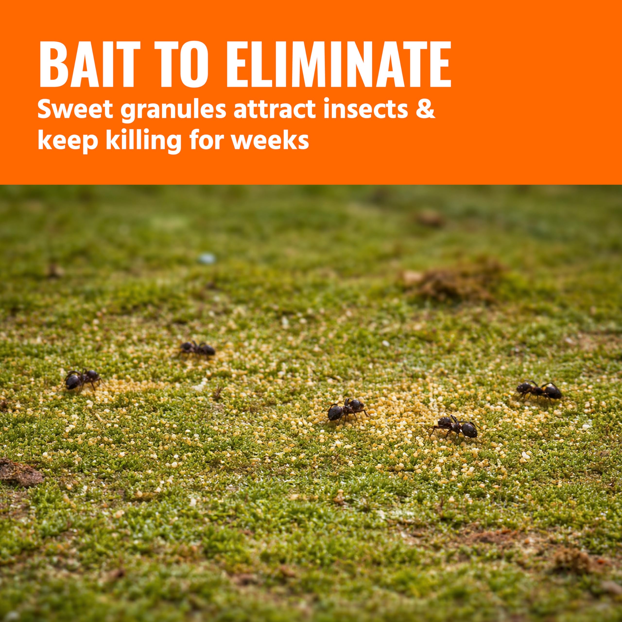 TERRO granules scattered in mulch controlling pests in garden beds and hiding spots