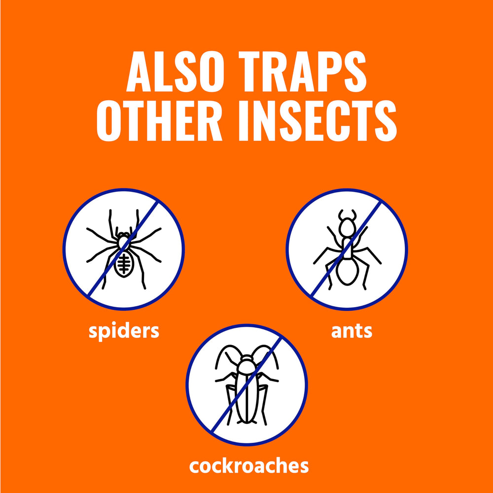Terro textura adhesiva con insectos atrapados, retención duradera