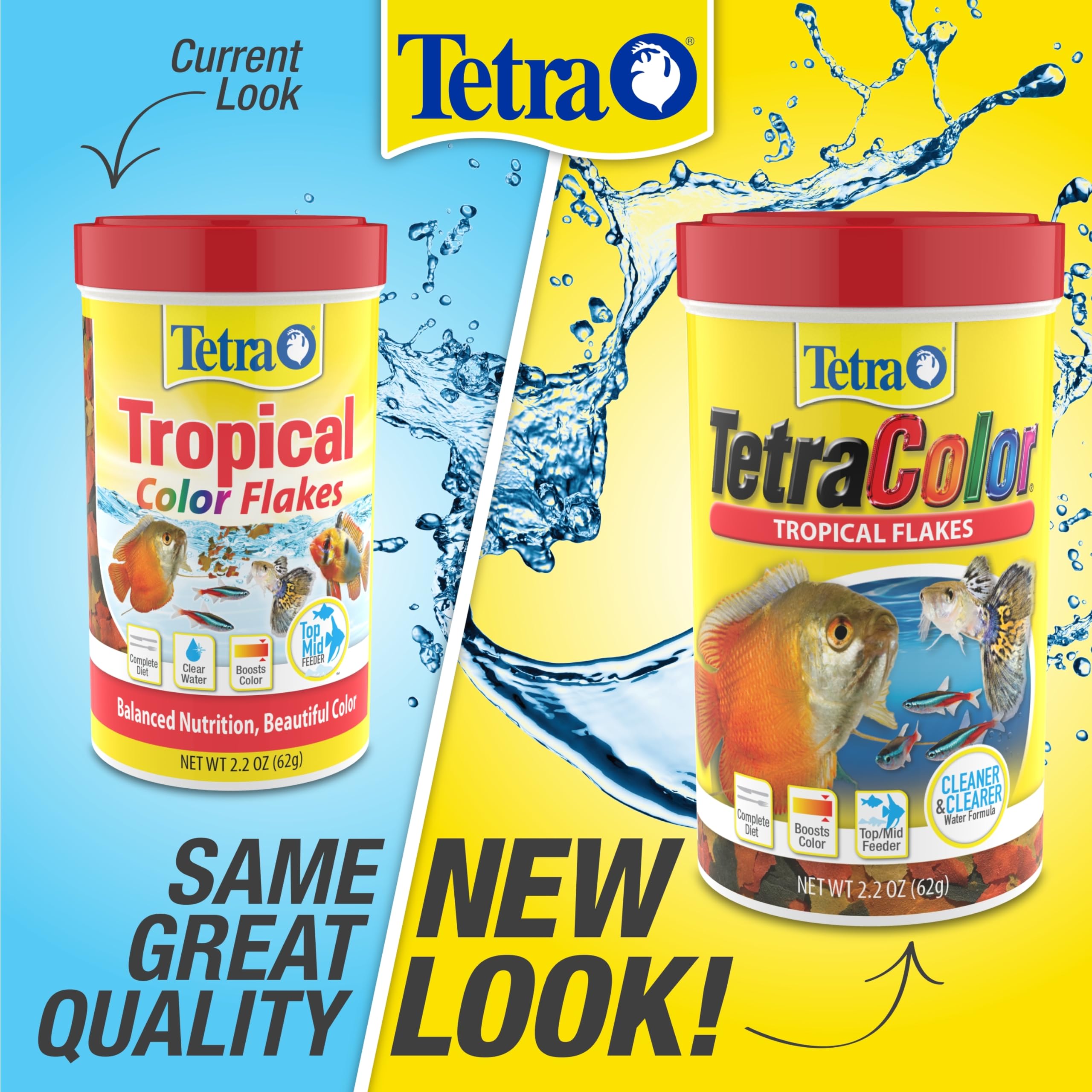 Tetra acuario con peces mostrando realce de color tras alimentación