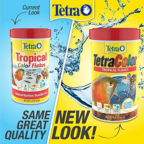 Tetra en ambientación de acuario mostrando efecto estético