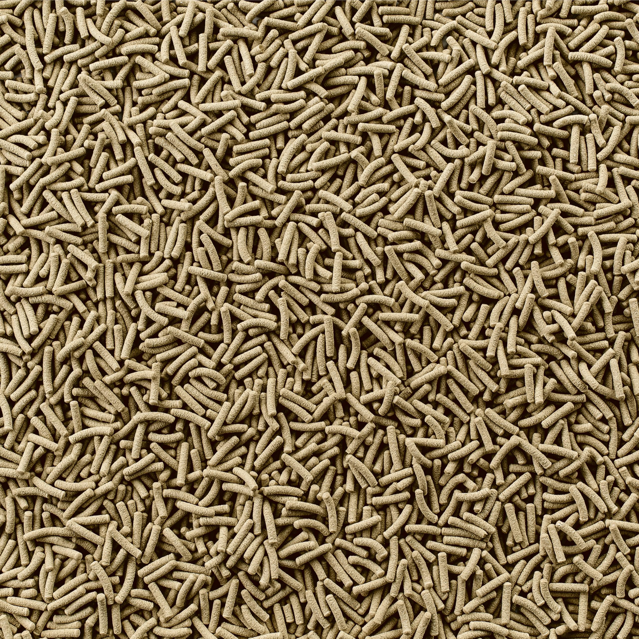 Tetra sticks flotantes en superficie, promoviendo alimentación visible